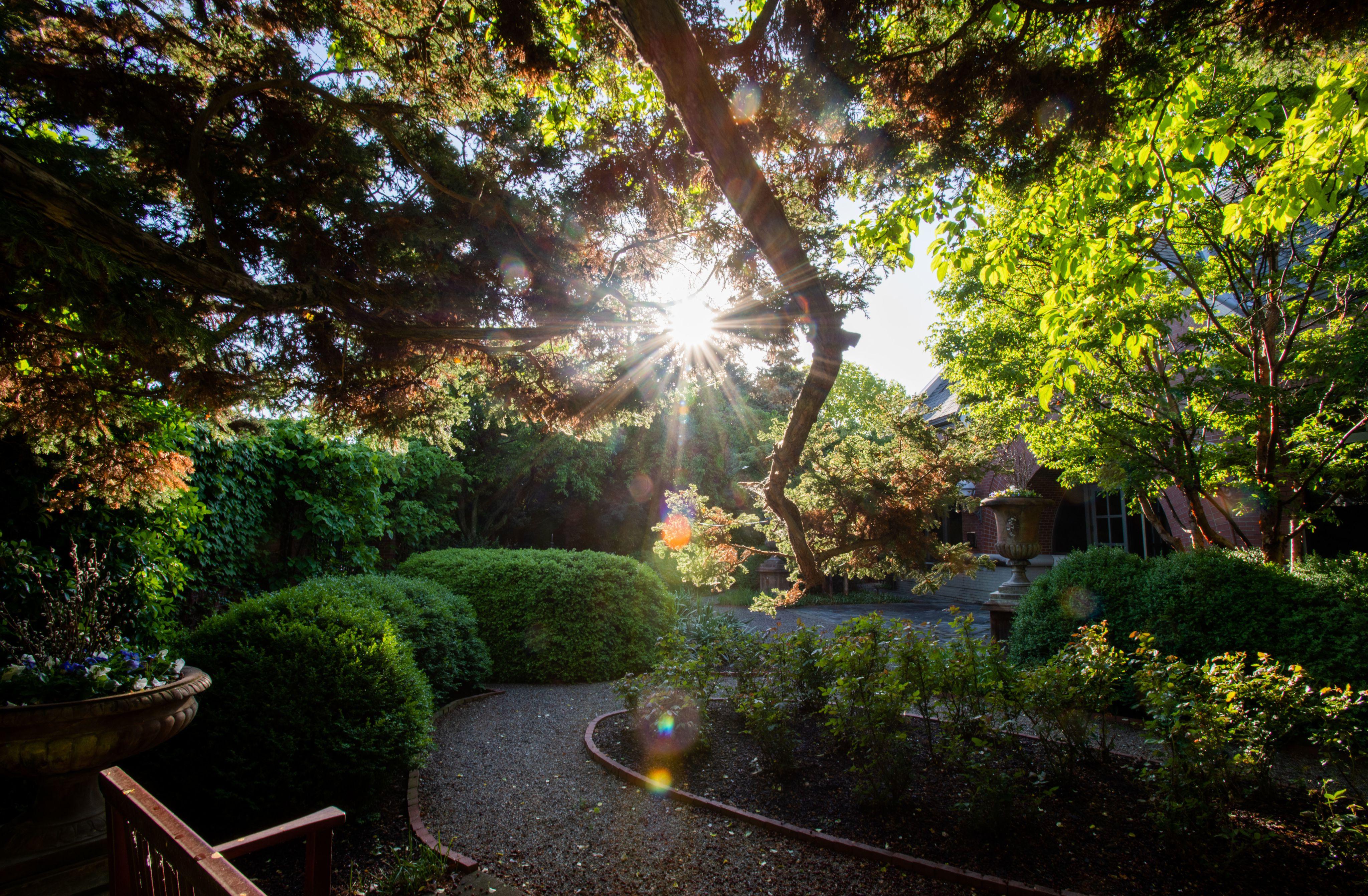 sun peeking through trees of a campus garden with a winding path, lots of green bushes